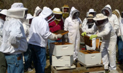 Eastern Missouri Beekeepers Association (EMBA)