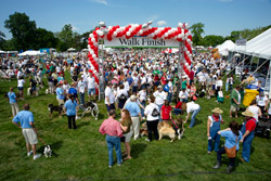 Bark in the Park