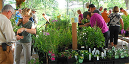 Shaw Nature Reserve Wildflower Sale