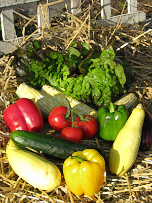 Healthy Planet Guide To Area CSAs