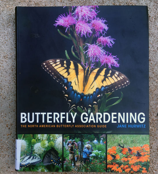 Butterflies In Your Garden