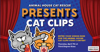 Animal House Cat Rescue Presents Cat Clips
