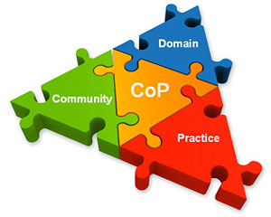 CoP Domain Community Practice