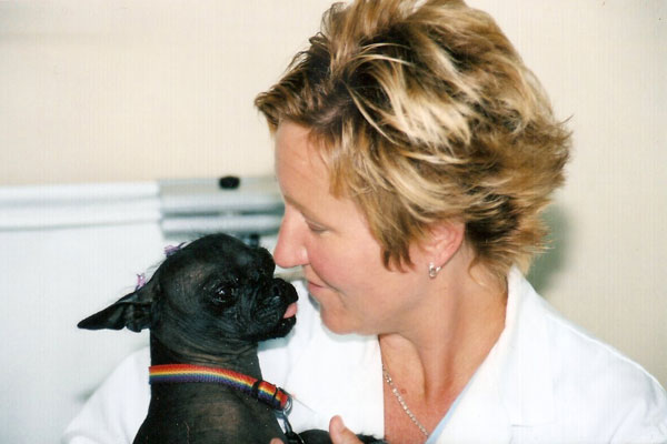 Animal Health & Healing Dr Teresa Garden