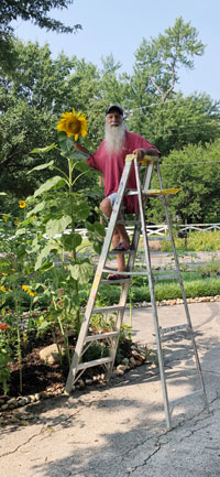 Gardens by Vincent