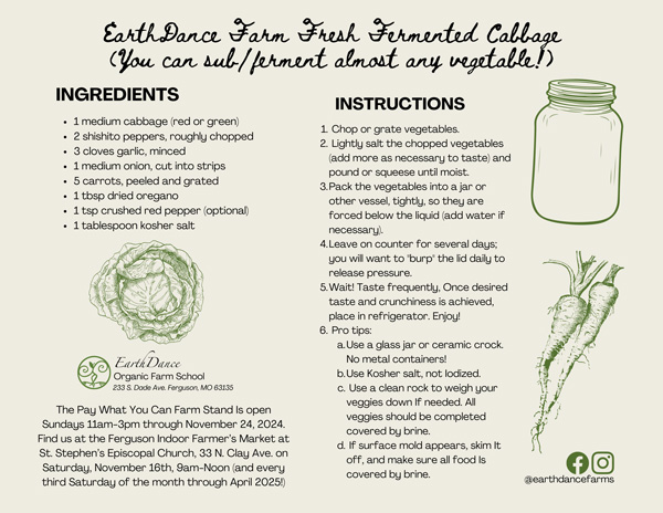 EarthDance Farm Fresh Fermented Cabbage