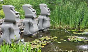 Pond-o-rama St. Louis