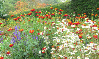 Soul Garden Paradise