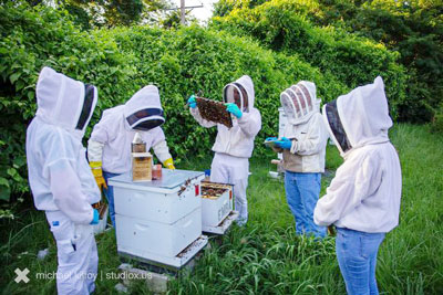 Beekeeping Workshop & Honey Show St. Louis