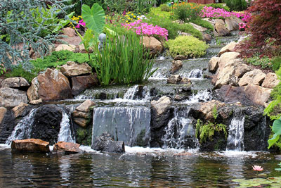 St. Louis Pond-O-Rama