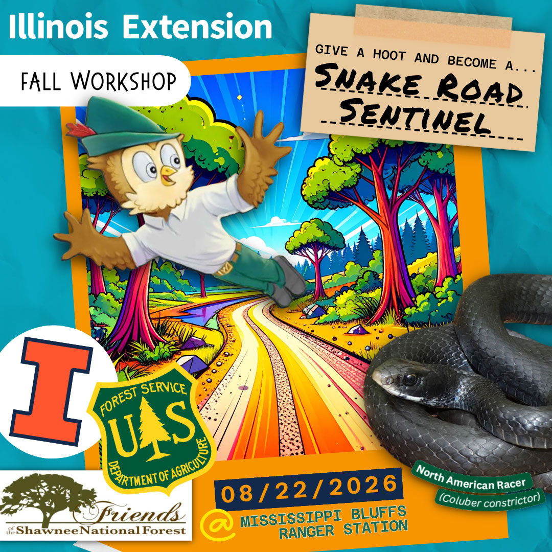 Fall Snake Road Sentinel