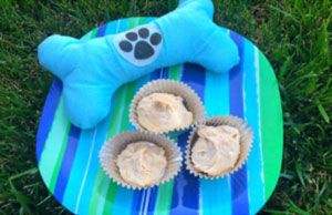 Cool Dog Treat