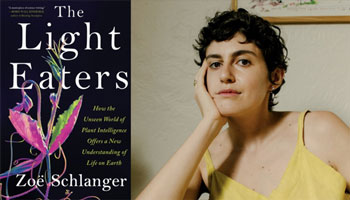 The Light Eaters Book Zoe Schlanger