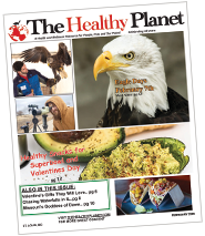 The Healthy Planet February 2026 Issue
